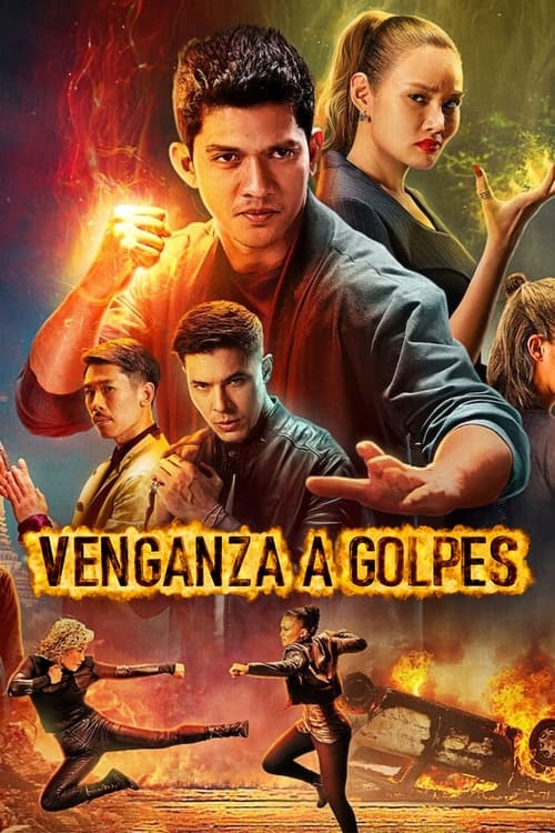 Poster de Venganza a golpes