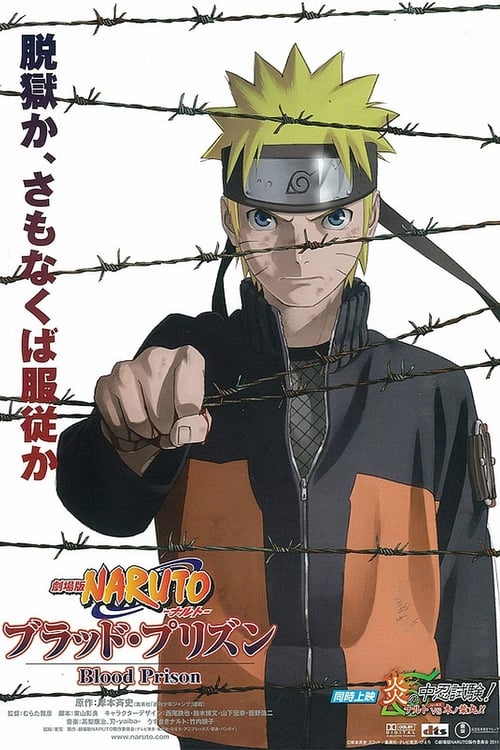 Poster de Naruto Shippuden 5: Prisión De Sangre
