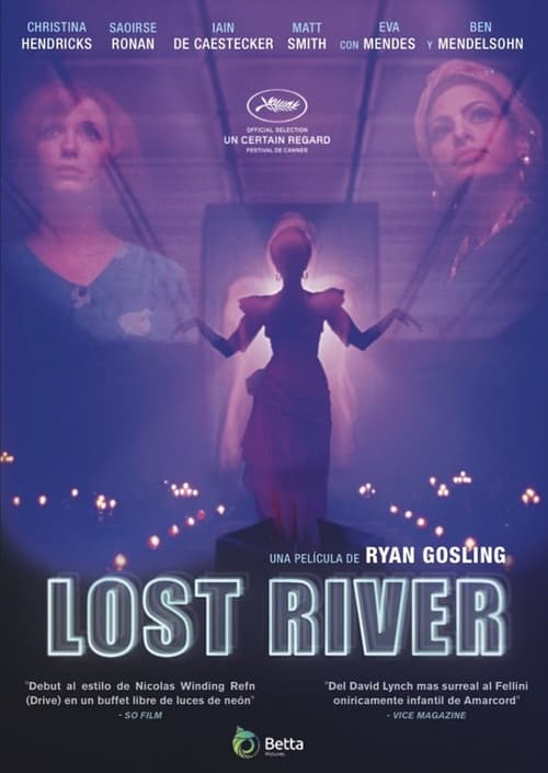 Poster de Lost River