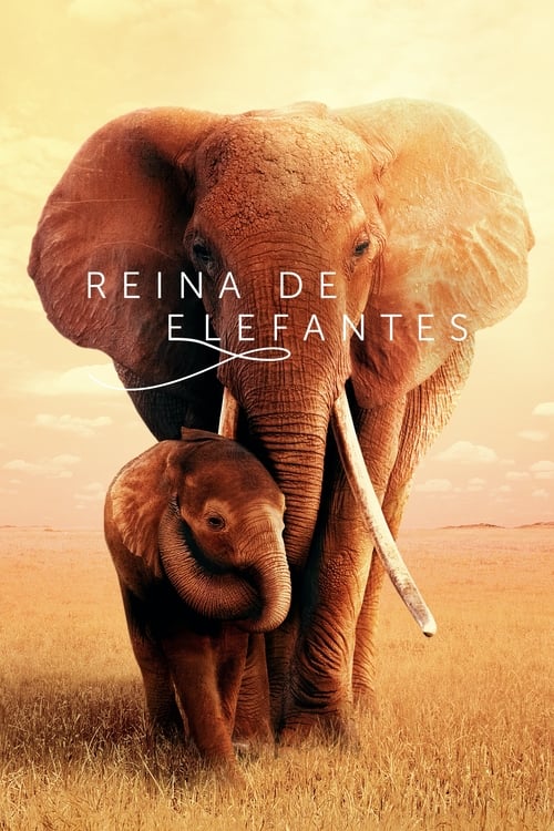 Poster de Reina de elefantes
