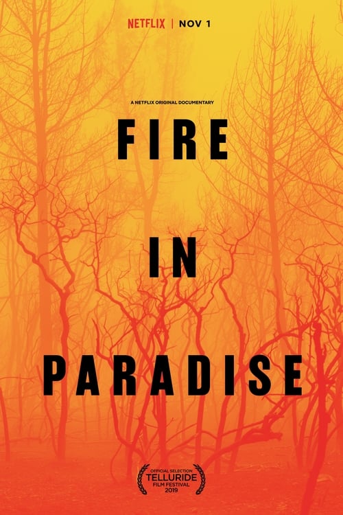 Poster de Paradise en llamas