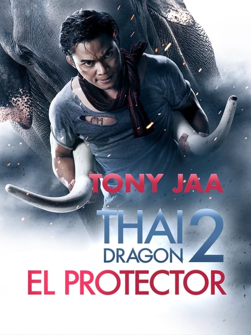 Poster de El Protector 2