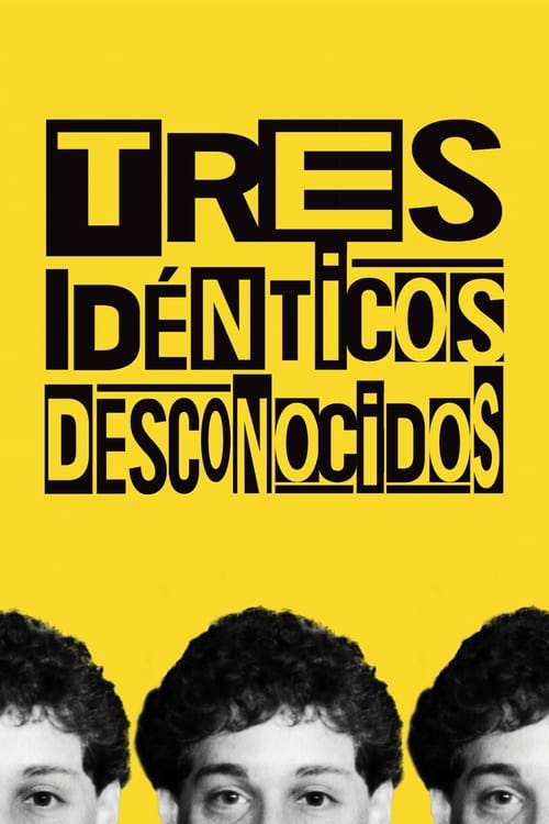 Poster de Tres Idénticos Desconocidos