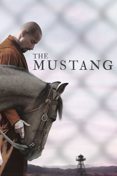 Poster de Mustang: La rehabilitación