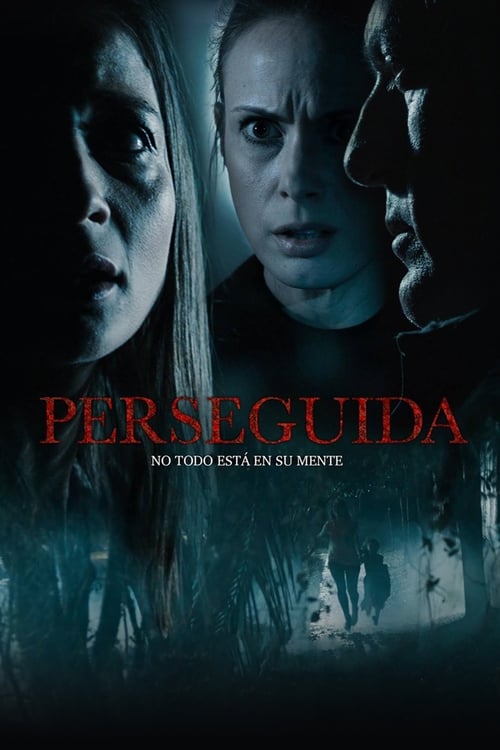 Poster de Perseguida