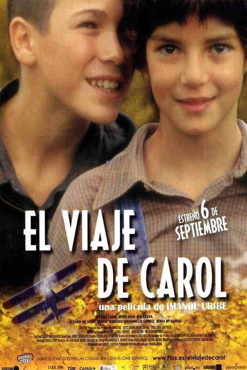Poster de El viaje de Carol