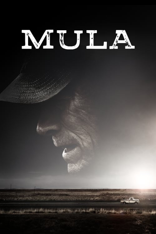 Poster de La Mula