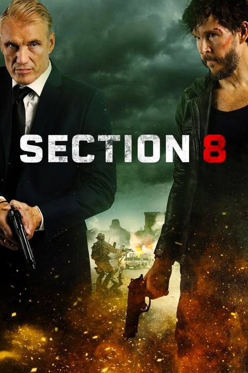 Poster de Section 8