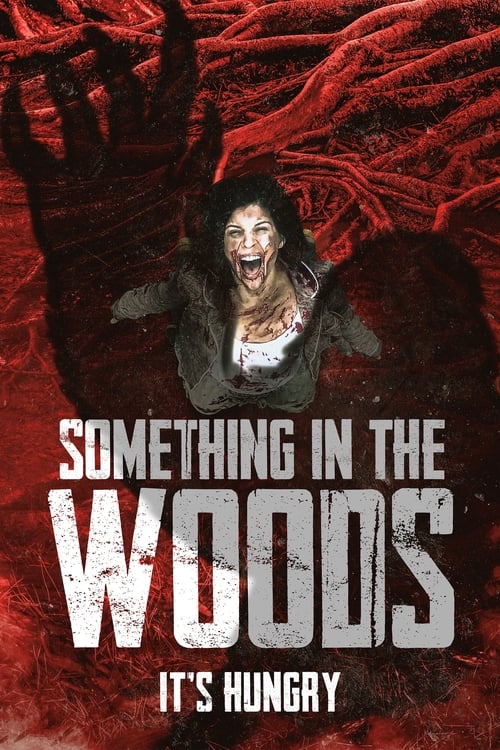Poster de Something in the Woods