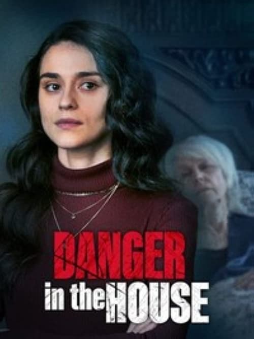 Poster de Danger in the House