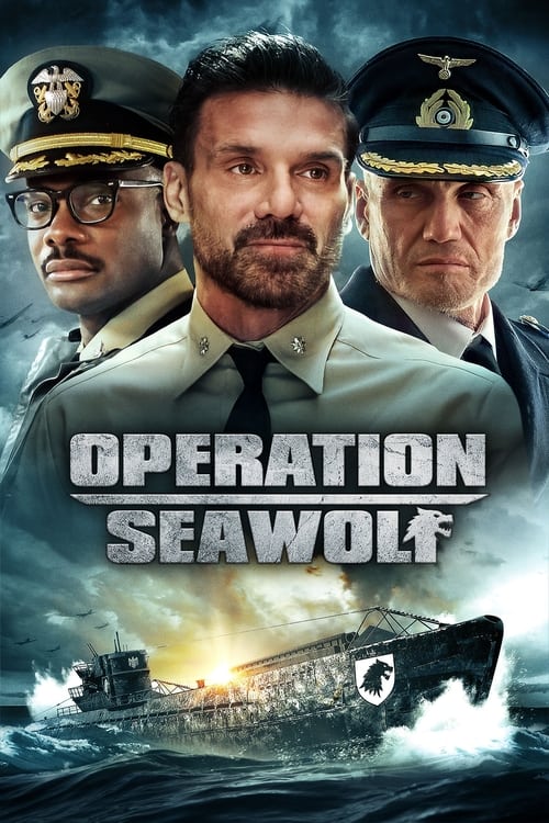 Poster de Operation Seawolf