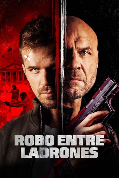 Poster de Robo Entre Ladrones