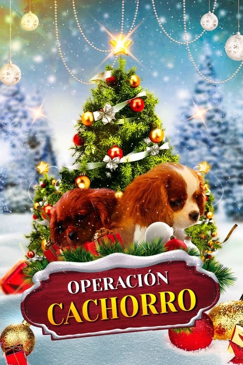 Poster de Project: Puppies for Christmas