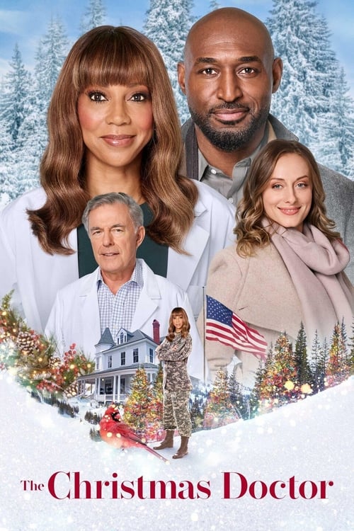 Poster de The Christmas Doctor
