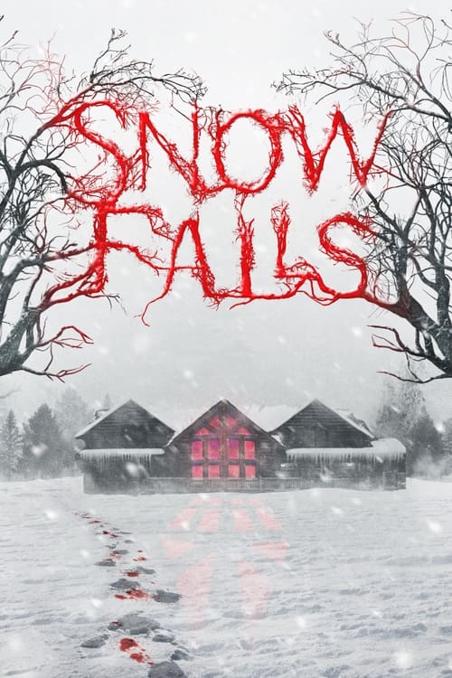 Poster de Snow Falls