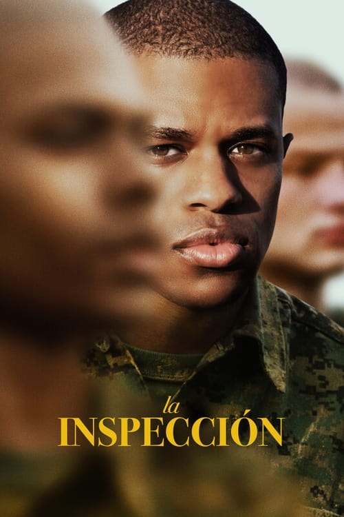 Poster de La inspección