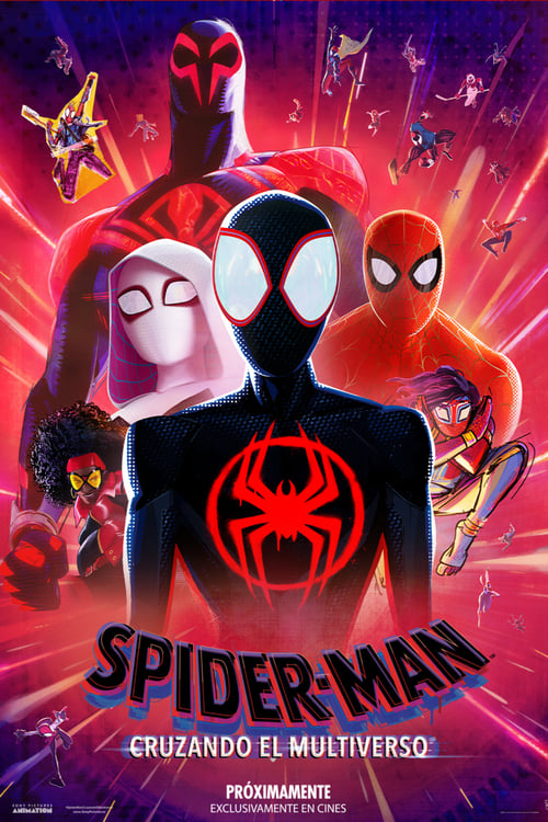 Poster de Spider-Man: Cruzando el multiverso