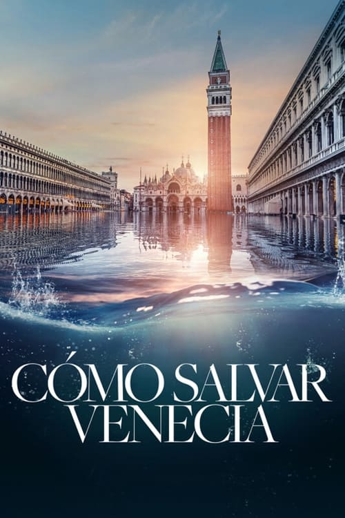 Poster de Cómo salvar Venecia