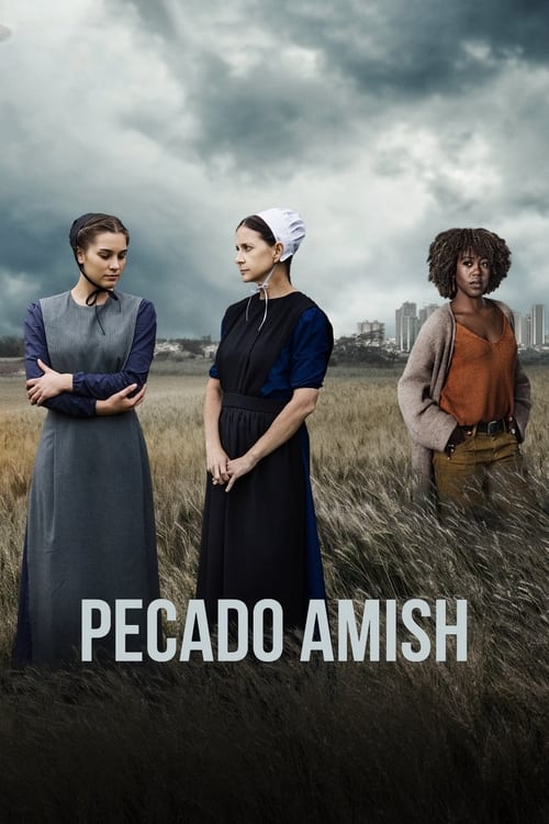 Poster de An Amish Sin