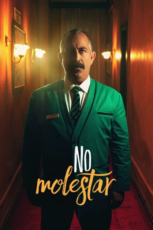 Poster de No molestar
