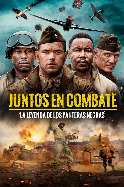 Poster de Juntos en combate