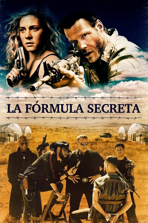 Poster de La Fórmula Secreta